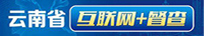 云南互聯網督查